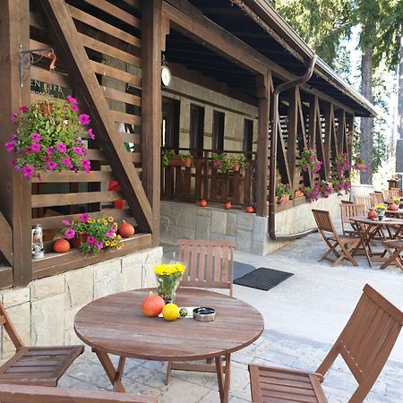 Green Life Family Apartments Pamporovo Ngoại thất bức ảnh
