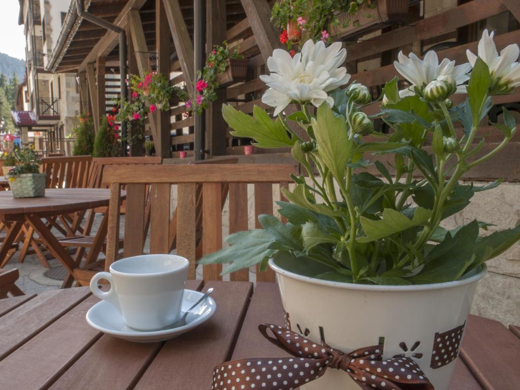 Green Life Family Apartments Pamporovo Ngoại thất bức ảnh